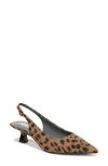 Franco Sarto Jaden Pointed Toe Slingback Pump In Multi