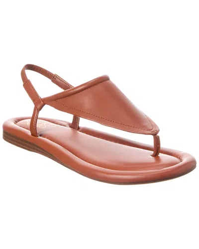 Franco Sarto Jocelyn Sandal In Brown