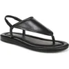 Franco Sarto Jocelyn Slingback Sandal In Black