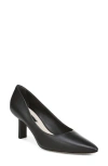 Franco Sarto Julissa Pointed Toe Pump In Black