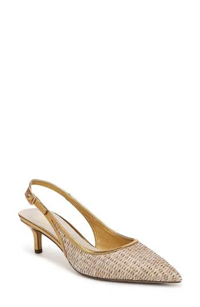 Franco Sarto Kate 3 Slingback Pointed Toe Pump In Multi