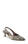 Franco Sarto Kate Slingback Pump In Grey Snake Print