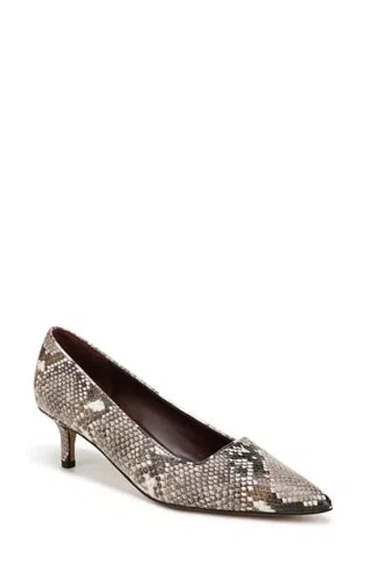 Franco Sarto Kim Snakeskin Embossed Kitten Heel Pump In Grey
