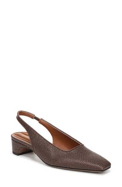 Franco Sarto Lyanna Slingback Pump In Brown