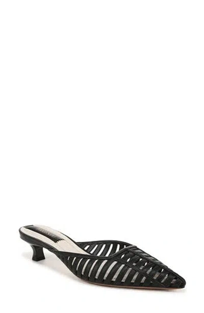 Franco Sarto Marline Pointed Toe Kitten Heel Pump In Black