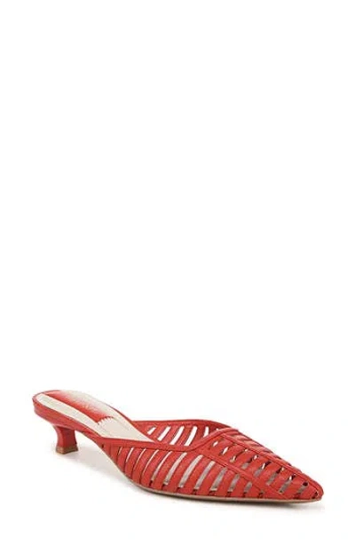 Franco Sarto Marline Pointed Toe Kitten Heel Pump In Red