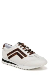 Franco Sarto Matera Oxford Sneakers In Brown Multi