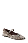 Franco Sarto Nalin Pointed Toe Flat In Grey