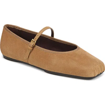 Franco Sarto Oriel Ballet Flat In Brown