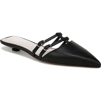 Franco Sarto Pia Pointed Toe Mule In Black