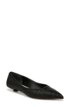 Franco Sarto Prella Pointed Toe Kitten Heel Pump In Black