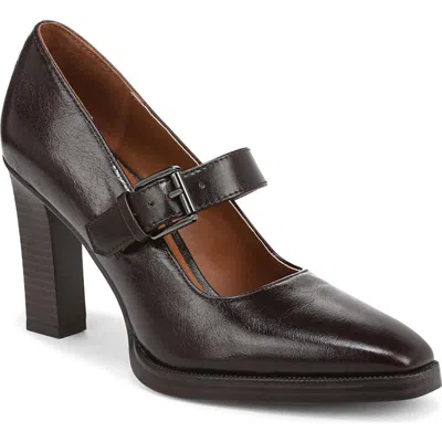 Franco Sarto Shalina Pump In Brown