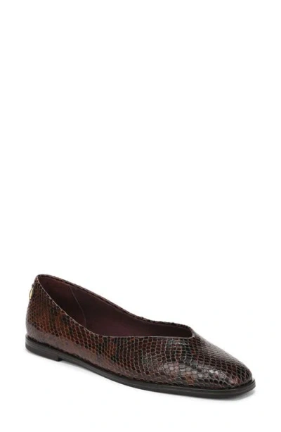 Franco Sarto Tesia Flat In Brown