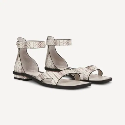 Franco Sarto Women's Elisa Sandal In Gray-sy In Multi