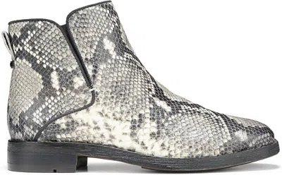 Franco Sarto Women's Marcus Booties In Grey Snake Print In Gray