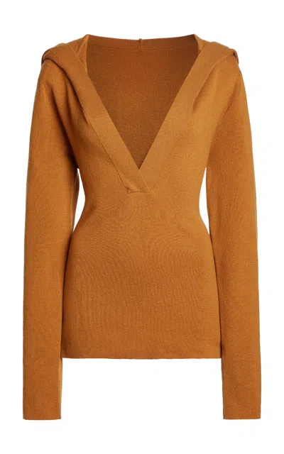 Francoise Cara Hooded Soft Wool Top In Tan