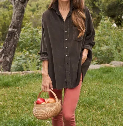 Frank & Eileen Barry Tailored Button Up Shirt In Chocolate In Brown