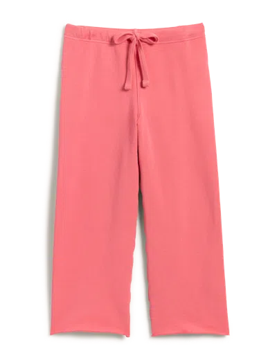 Frank & Eileen Catherine 24" In Pink
