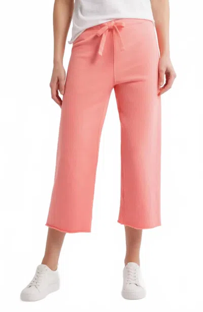 Frank & Eileen Catherine Favorite Sweatpant In Passion Fruit In Pink