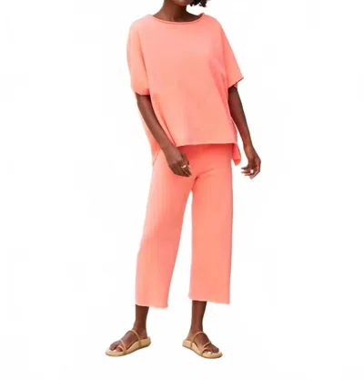 Frank & Eileen Catherine Favorite Sweatpant In Wild Strawberry In Multi