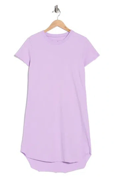 Frank & Eileen Mini Harper Perfect T-shirt Dress In Pink