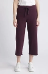 Frank & Eileen Catherine Crop Wide Leg Sweatpants In Blackberry