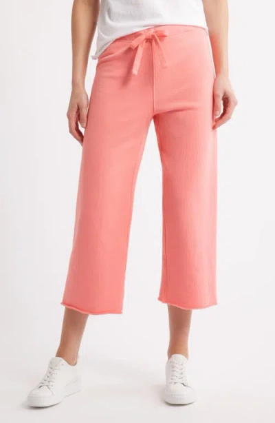 Frank & Eileen Catherine Crop Wide Leg Sweatpants In Passion Fruit