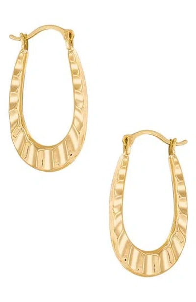 Frankie & Zoe Oval Ruffle Hoop Earrings In Gold