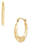 Frankie & Zoe Twisted Hoop Earrings In Gold