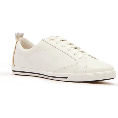 Frankie4 Asher Sneaker