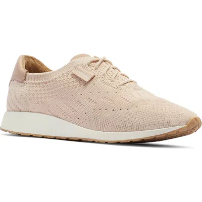 Frankie4 Dimity Ii Knit Sneaker In Pink