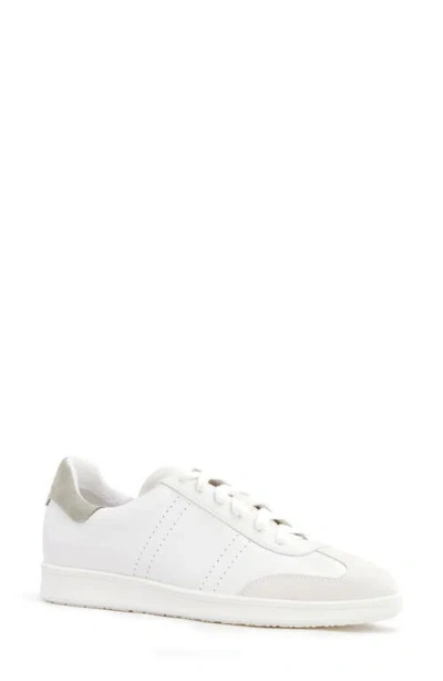 Frankie4 Drew Sneaker In White/pistachio
