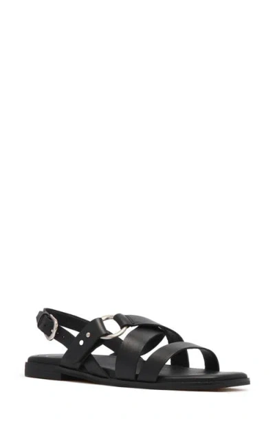 Frankie4 Finn Slingback Sandal In Black