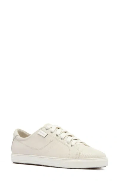 Frankie4 Nat Iii Cap Toe Sneaker In White