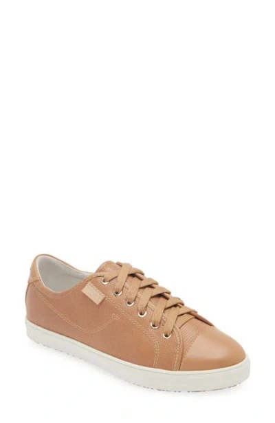 Frankie4 Nat Iii Cap Toe Sneaker In Camel Punched