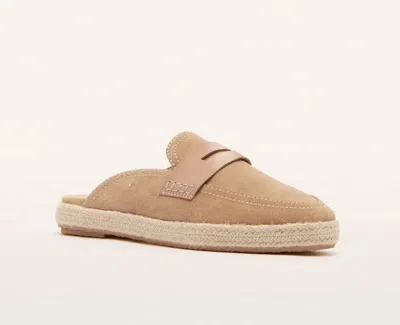 Frankie4 Women's Arlie Shoe In Camel/suede In Neutral