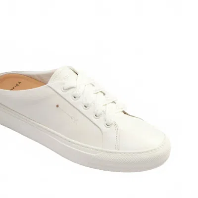 Frankie4 Women's Lincoln Tumbled Sneakers In White