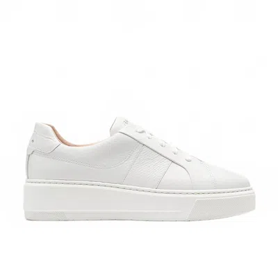 Frankie4 Women's Riley Sneaker In White