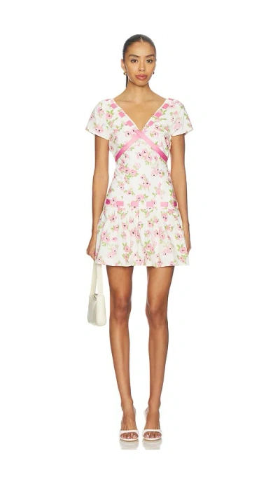 Frankies Bikinis Belladonna Poplin Mini Dress In Multi