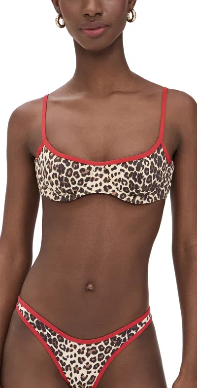 Frankies Bikinis Cola Bikini Top Cheetah