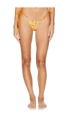Frankies Bikinis Divine Bottom In Marigold Gingham