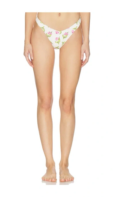 Frankies Bikinis Dove Bottom