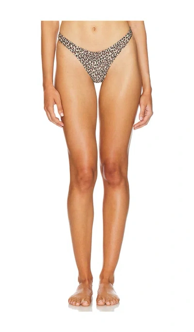 Frankies Bikinis Dove Bottom In Baby Leopard