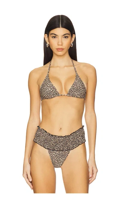 Frankies Bikinis Paradise Bikini Top In Baby Leopard