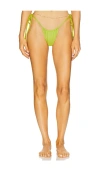 Frankies Bikinis Tia Bikini Bottom In Lily Pad
