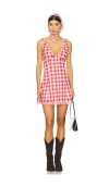 Frankies Bikinis X Bella Hadid Farm Mini Dress In Red