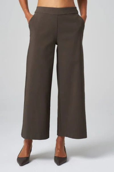 Franne Golde Catalina Stretch Cropped Wide-leg Pant In Brown