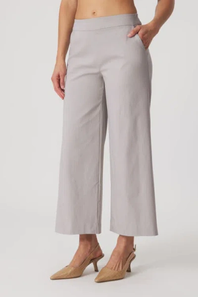 Franne Golde Catalina Stretch Cropped Wide-leg Pant In Gray