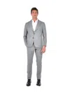 Franzese Collection Pinstripe Buttoned Suit In Gray