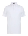 Franzese Collection Man Polo Shirt White Size Xl Cotton In White